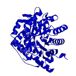 Image of CATH 3kvk