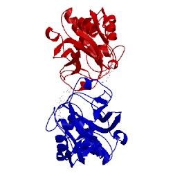 Image of CATH 3kwb