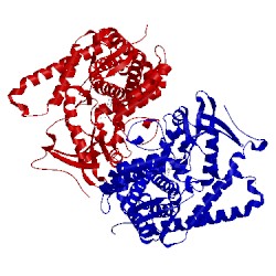 Image of CATH 3kx5