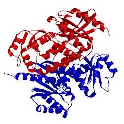 Image of CATH 3kxl