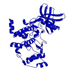 Image of CATH 3kxn