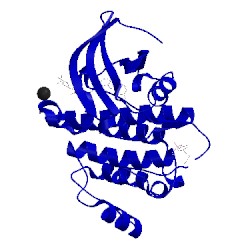 Image of CATH 3kxz
