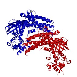 Image of CATH 3ky9