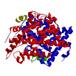 Image of CATH 3l03