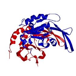 Image of CATH 3l0b
