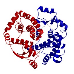 Image of CATH 3l0h