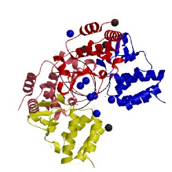 Image of CATH 3l25