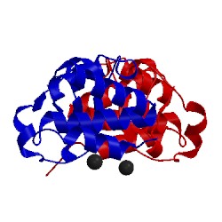 Image of CATH 3l29