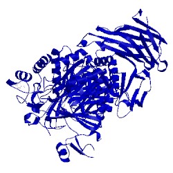 Image of CATH 3l4t