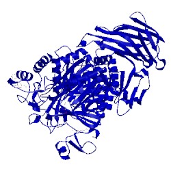 Image of CATH 3l4v