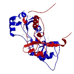 Image of CATH 3l51