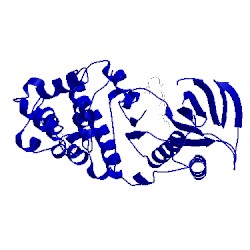Image of CATH 3l8s