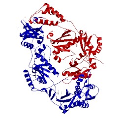 Image of CATH 3lam
