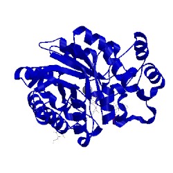 Image of CATH 3lbo