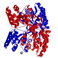 Image of CATH 3lc8