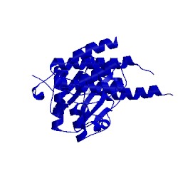 Image of CATH 3lco
