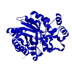 Image of CATH 3lep