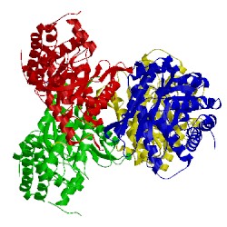 Image of CATH 3lge