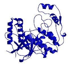 Image of CATH 3lhj