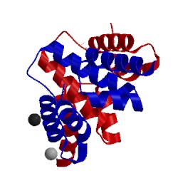 Image of CATH 3lhr