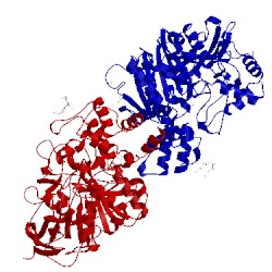 Image of CATH 3lii