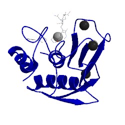 Image of CATH 3lil