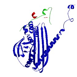 Image of CATH 3lk2