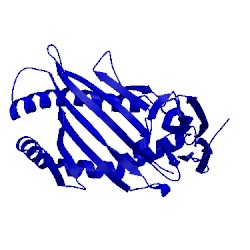 Image of CATH 3lkp