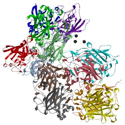 Image of CATH 3lkt