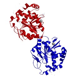 Image of CATH 3llm