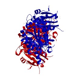 Image of CATH 3lls
