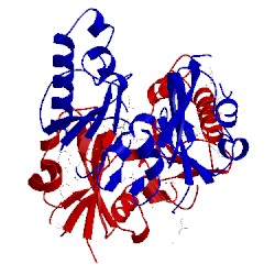 Image of CATH 3lm2