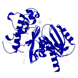 Image of CATH 3lm9