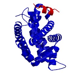 Image of CATH 3lmp