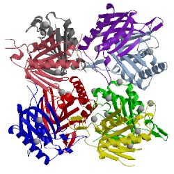 Image of CATH 3lmu