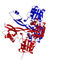 Image of CATH 3lnl