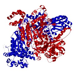 Image of CATH 3lpl
