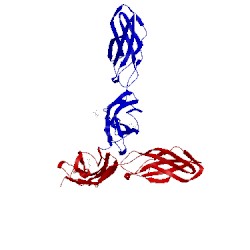 Image of CATH 3lpw