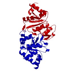 Image of CATH 3lqu