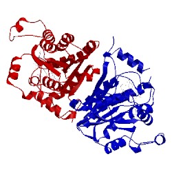 Image of CATH 3lt0