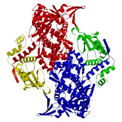 Image of CATH 3ltn