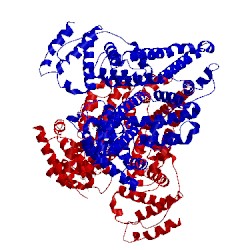 Image of CATH 3lu8