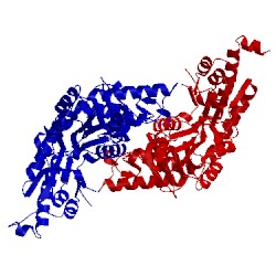 Image of CATH 3lvm
