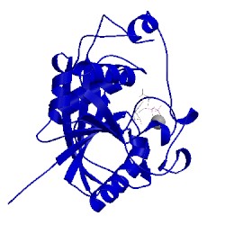 Image of CATH 3lw6