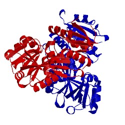 Image of CATH 3lwb