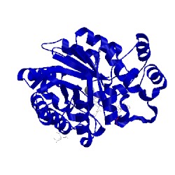 Image of CATH 3lz3