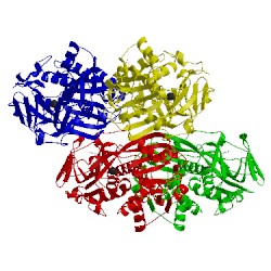 Image of CATH 3m13