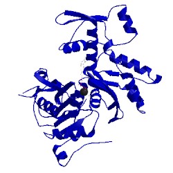 Image of CATH 3m1f