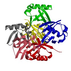 Image of CATH 3m3j