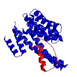 Image of CATH 3m50